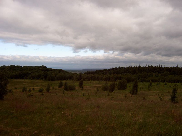 Image - The Kaniv State Nature Reserve.